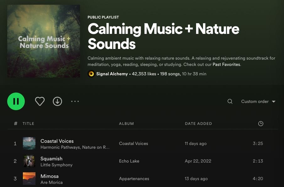 Calming music and nature sounds
