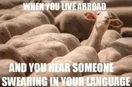 Language meme