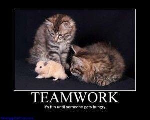 Teamwork meme