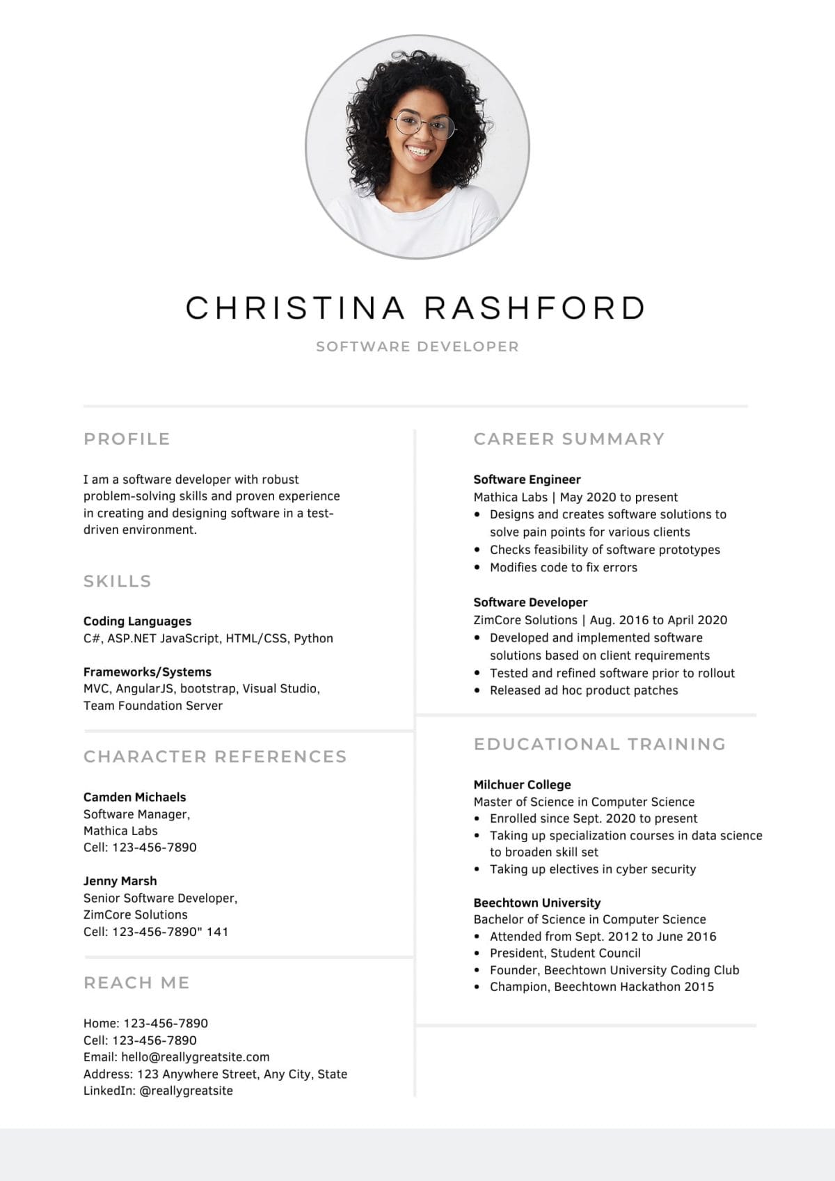 Software developer resume